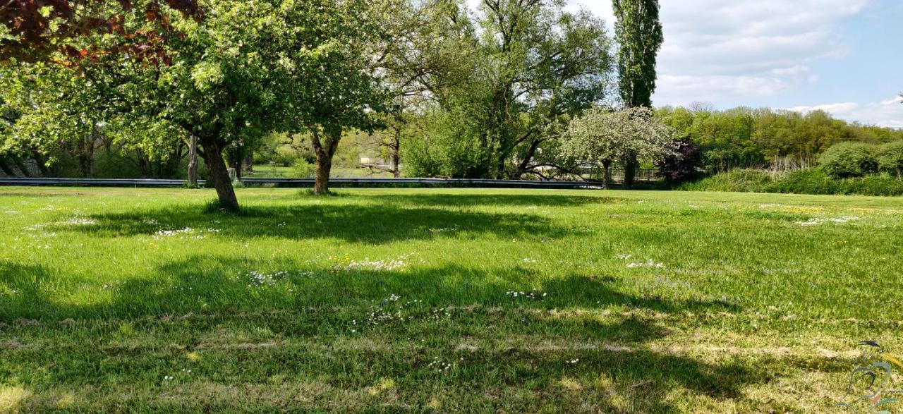 Le Moulin Des Moines Holiday home *